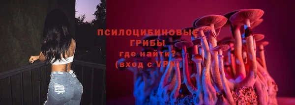 спиды Зуевка