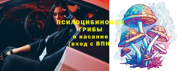 Альфа ПВП Тобольск