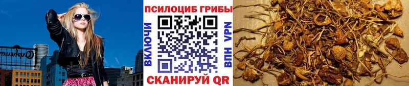 Псилоцибиновые грибы Psilocybe Инта