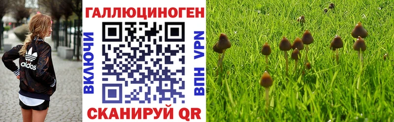 Псилоцибиновые грибы прущие грибы  продажа наркотиков  Инта 